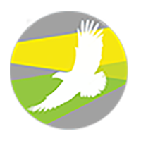 Logo light